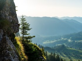 2017-08-29 Besler-012-3000