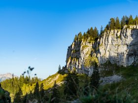 2017-08-29 Besler-013-3000