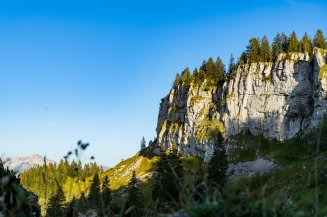 2017-08-29 Besler-013-3000