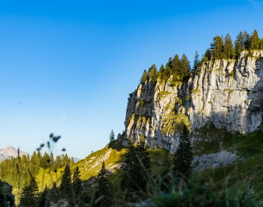 2017-08-29 Besler-013-3000
