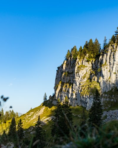 2017-08-29 Besler-013-3000
