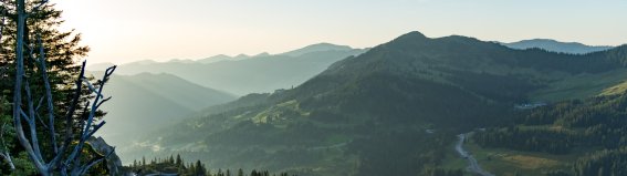 2017-08-29 Besler-021-3000