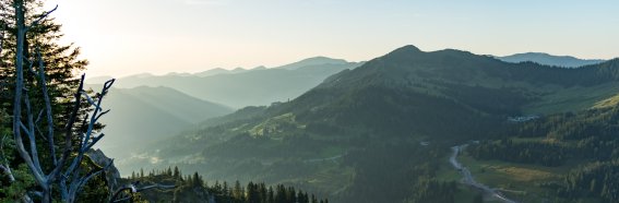 2017-08-29 Besler-021-3000