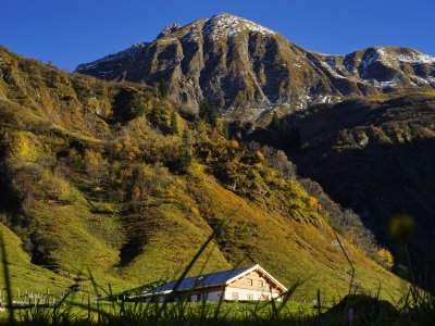 Käseralpe