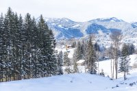 2017-12-29 Winterwonderland-004-3000