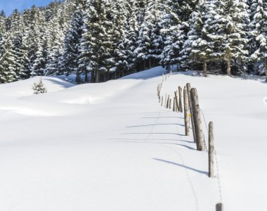 2017-12-29 Winterwonderland-005-3000