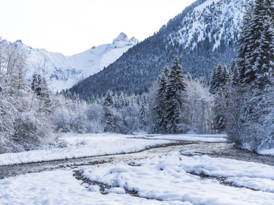 2017-12-29 Winterwonderland-010-3000