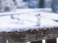 2017-12-29 Winterwonderland-011-3000