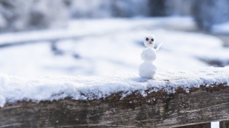 2017-12-29 Winterwonderland-011-3000