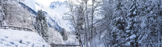 2017-12-29 Winterwonderland-013-3000