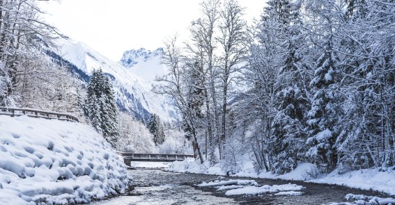 2017-12-29 Winterwonderland-013-3000