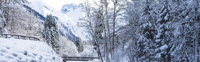 2017-12-29 Winterwonderland-013-3000