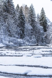 2017-12-29 Winterwonderland-015-3000