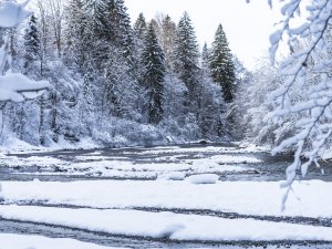 2017-12-29 Winterwonderland-015-3000