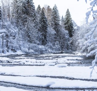 2017-12-29 Winterwonderland-015-3000