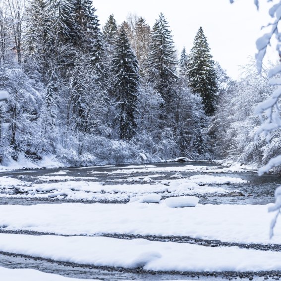 2017-12-29 Winterwonderland-015-3000