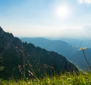 2018-07-07 Rindalphorn-011-3000