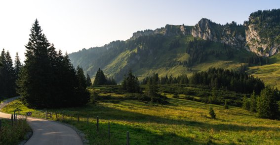 2018-08-05 Besler-002-3000