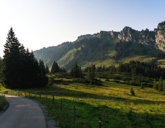 2018-08-05 Besler-002-3000