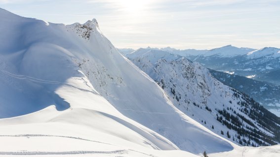 Nebelhorn
