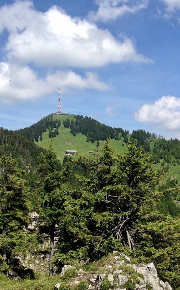 Grünten