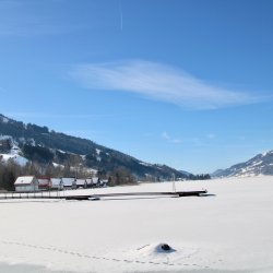 Alpsee