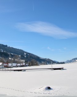 Alpsee