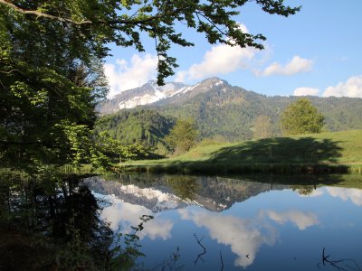 Moorweiher