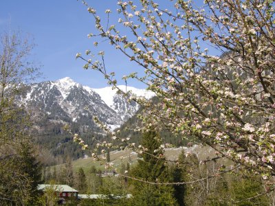 Frühling-Moorbad