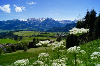 Blick auf die Oberstdorfer Berge
