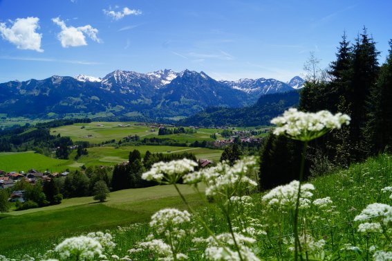 Blick auf die Oberstdorfer Berge