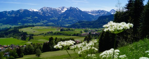 Blick auf die Oberstdorfer Berge