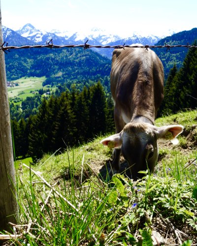 Allgäuer Bergwelt