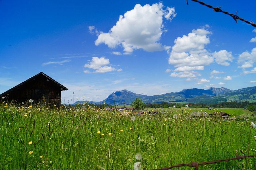 Blick Richtung Grünten