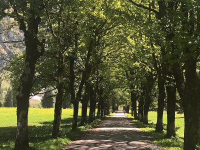 Oytal-Allee