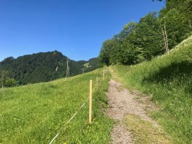 Graf-Vojkffy-Weg