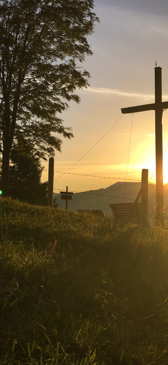 Von der Sonne angestrahlt