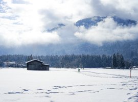 Winter auf den Wiesen