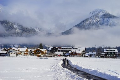 Winter auf den Wiesen Winter auf den Wiesen