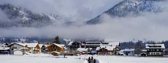 Winter auf den Wiesen