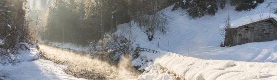 Winter am Freibergsee