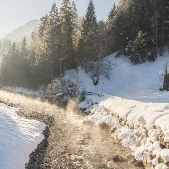 Winter am Freibergsee