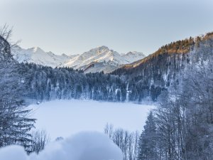 Winter am Freibergsee