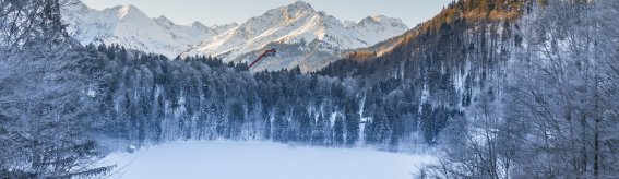 Winter am Freibergsee