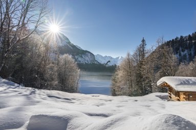 Winter am Freibergsee