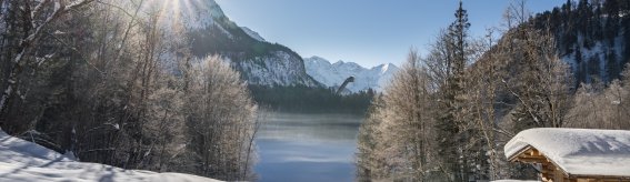 Winter am Freibergsee