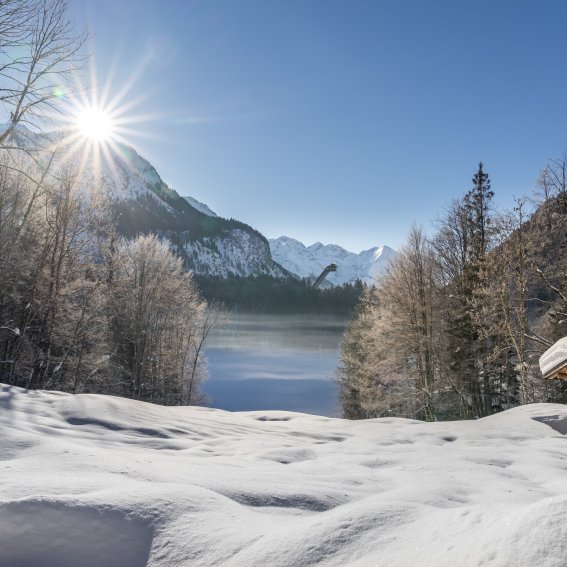 Winter am Freibergsee