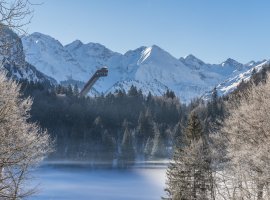 Winter am Freibergsee