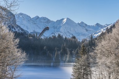 Winter am Freibergsee