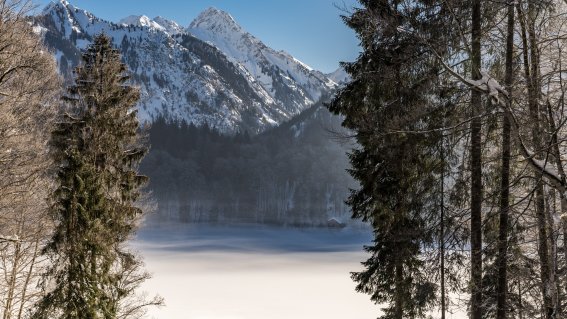 Winter am Freibergsee